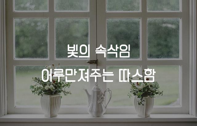 116앵덕정직