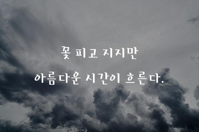 플라워