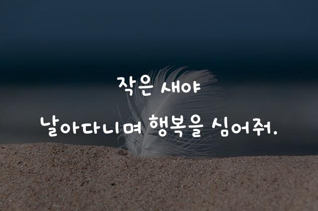 꼬마나비