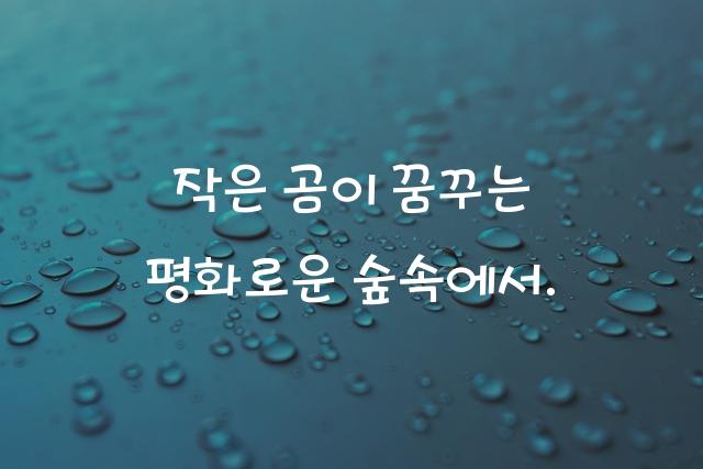 리틀베어