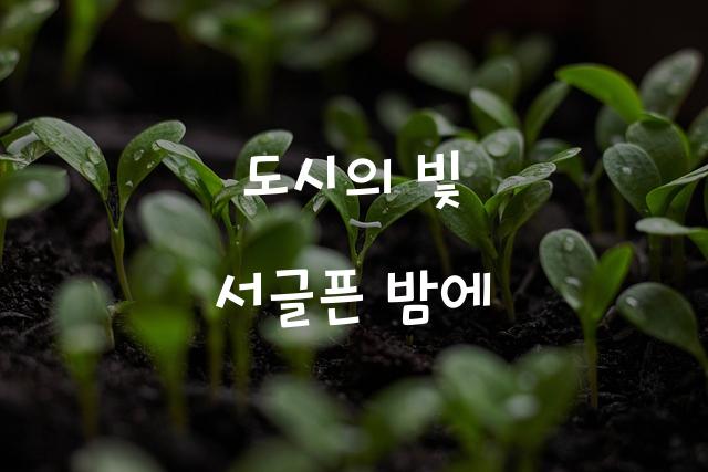 뉴욕커