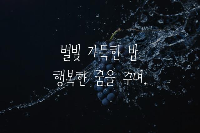 ACC 어린이 하늘맑은체