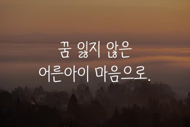 어른아이