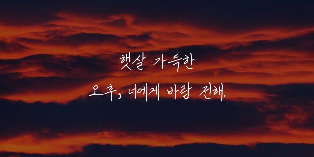 안쌍체