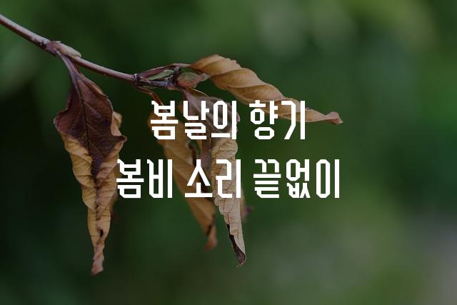 사월십육일체 생명