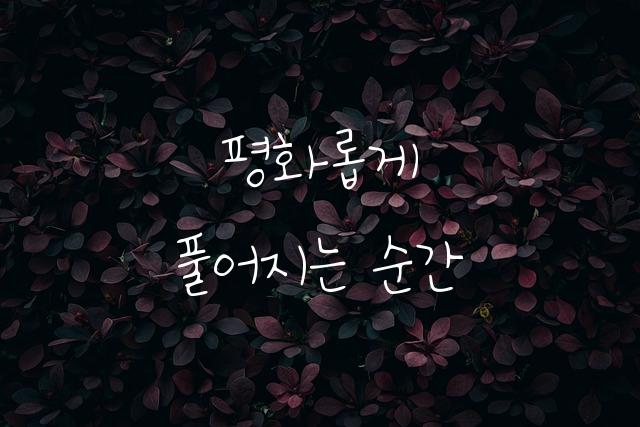 아기사랑체
