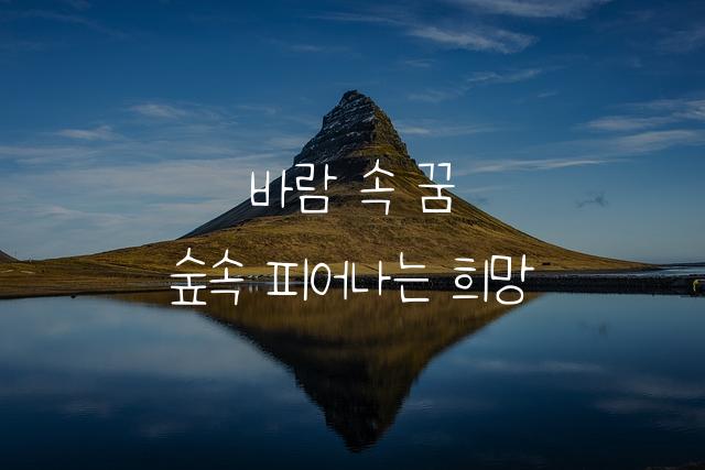 바른히피