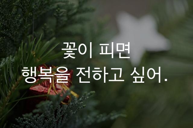 바른돋움체
