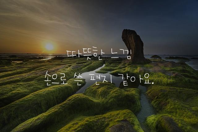 빵구니맘 손글씨