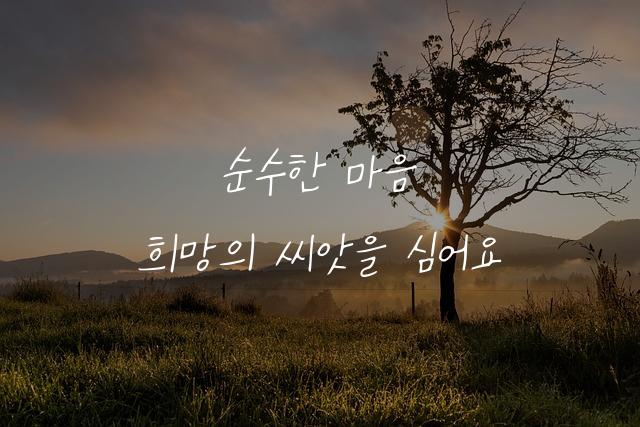 야채장수 백금례
