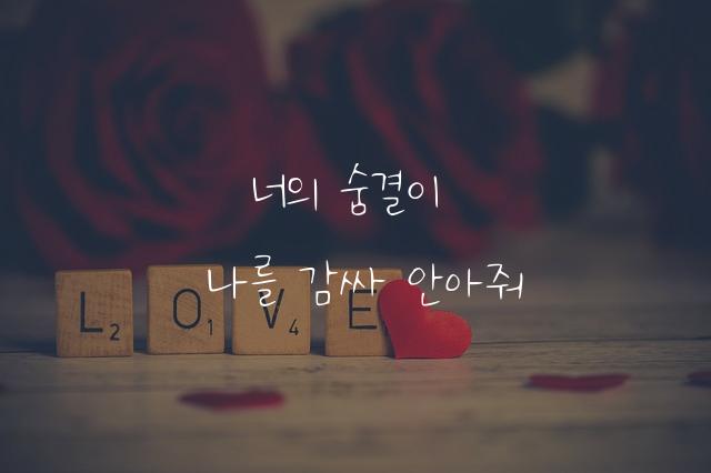 하나되어 손글씨