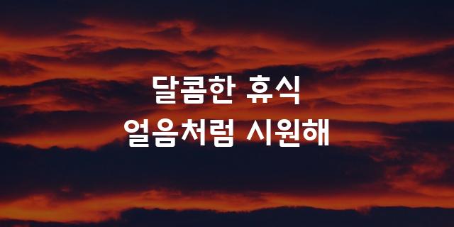빙그레 메로나체