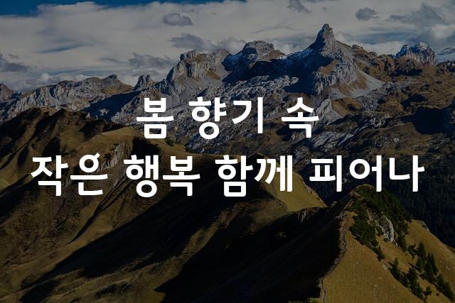 빙그레 따옴체