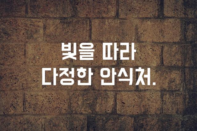 도현체