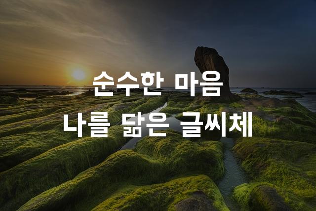 한나체Pro