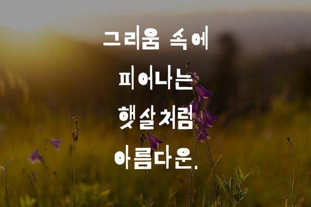 기랑해랑체