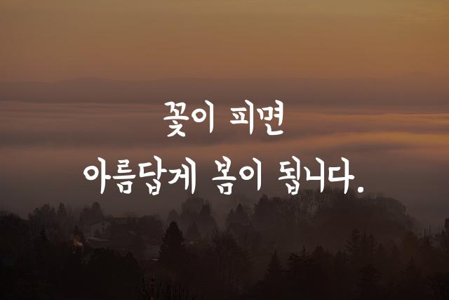 연성체