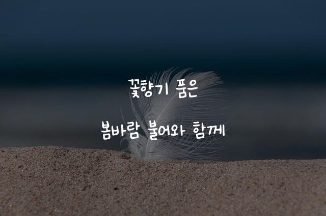 온글잎 보현체