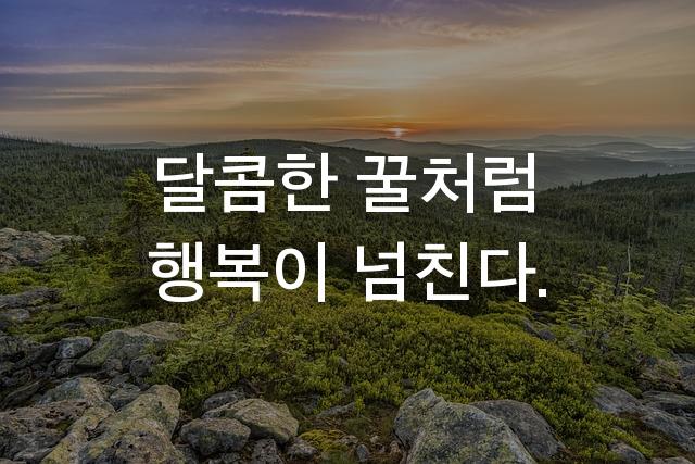 부크크 고딕