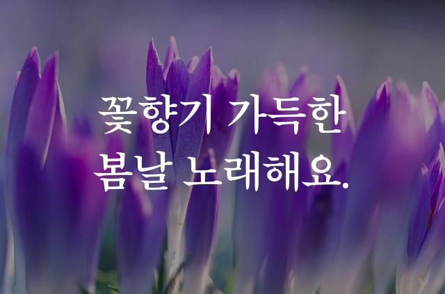 부크크 명조