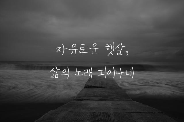 버드나무
