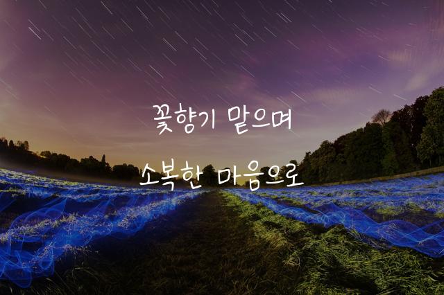 부장님 눈치체