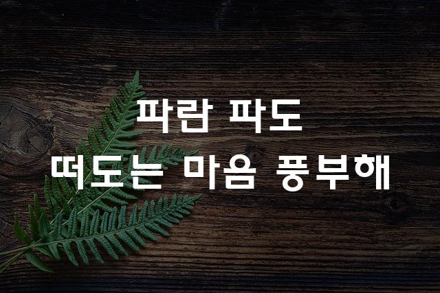 부산바다체