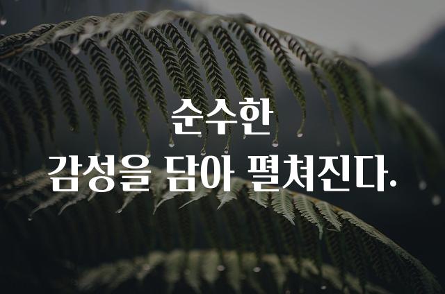 카페24 단정해