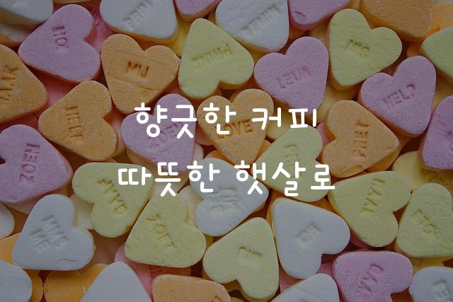 카페24 동동