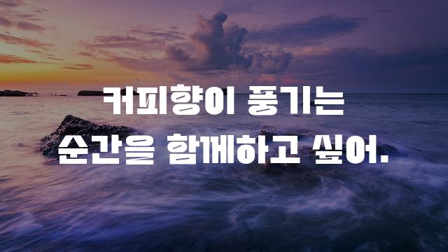 카페24 모야모야 Face