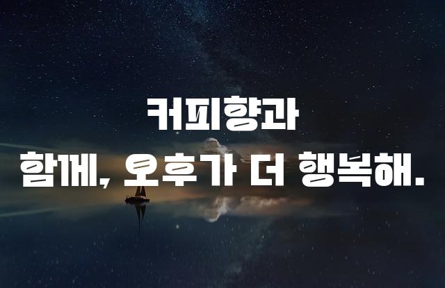 카페24 모야모야