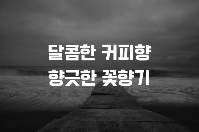 카페24 아네모네