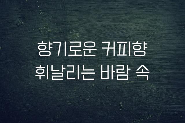 카페24 아네모네 에어