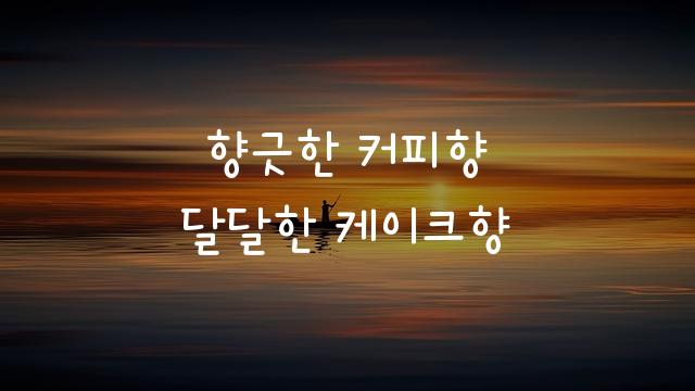 카페24 쑥쑥
