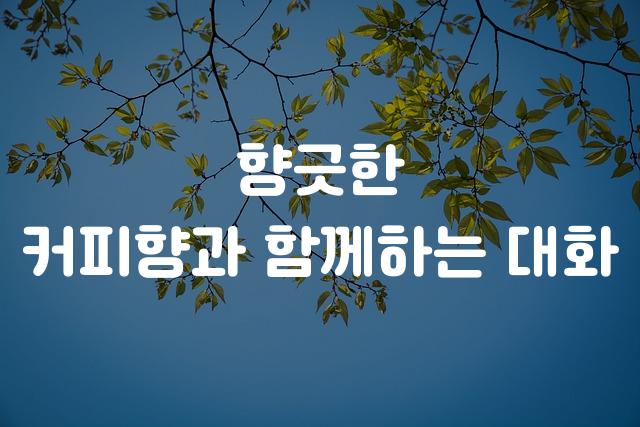 카페24 써라운드