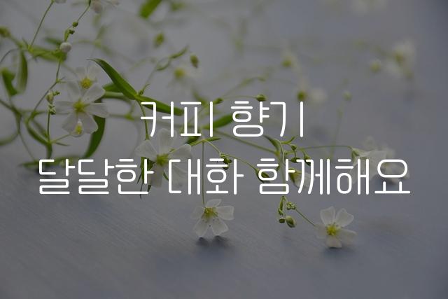 카페24 써라운드에어