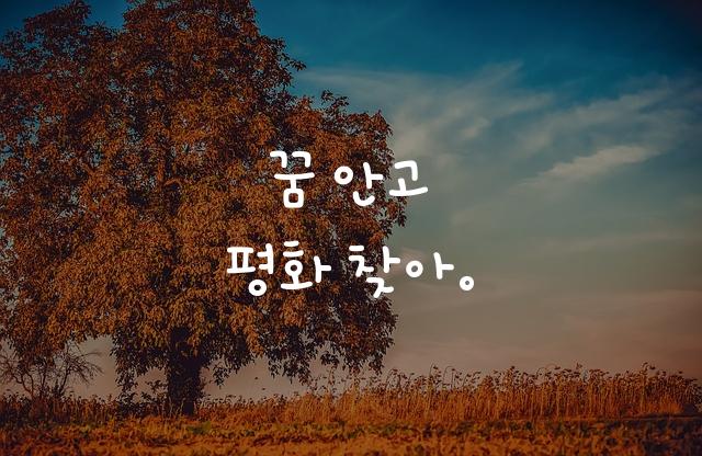 카페24 숑숑