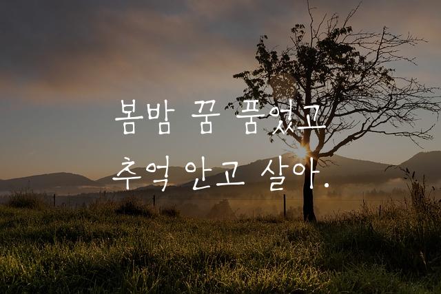 칠곡할매 권안자체
