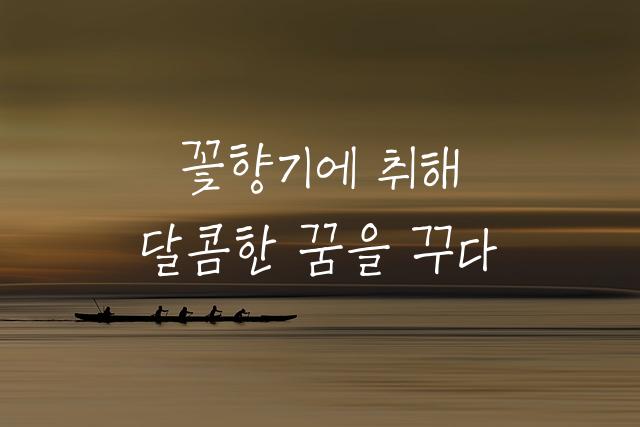 칠곡할매 김영분체