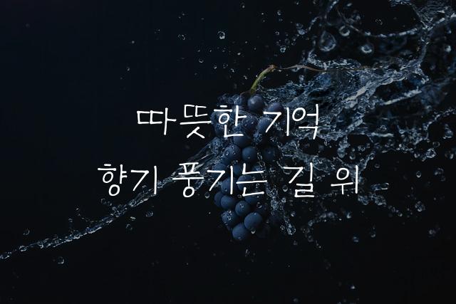 칠곡할매 이원순체