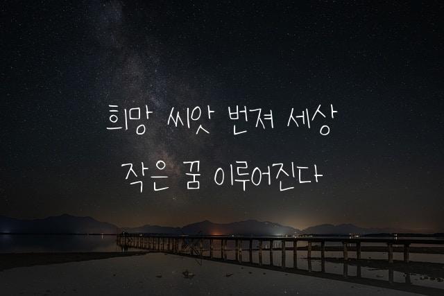 초딩희망