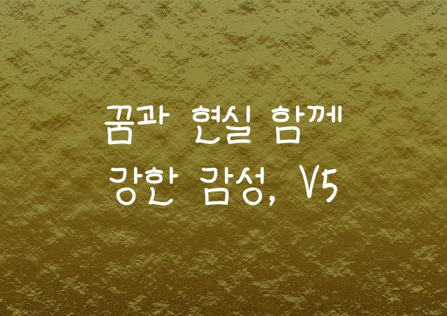 조군 개발새발 V5