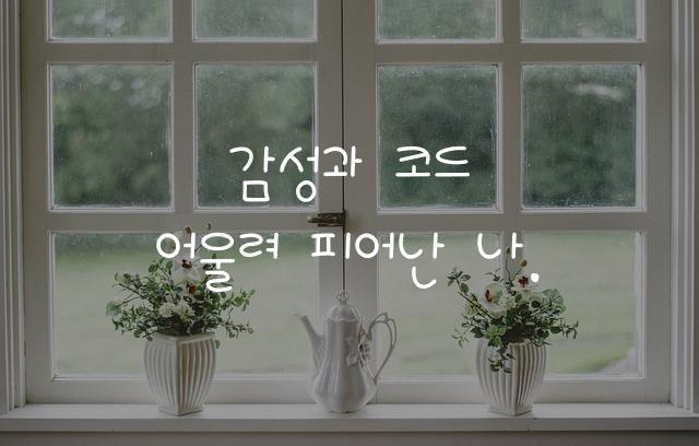 조군 개발새발 V6