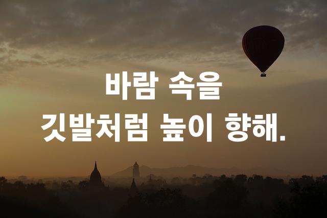 조선견고딕