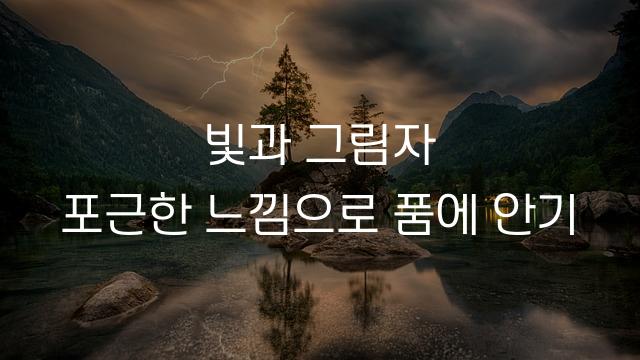 창원단감둥근체
