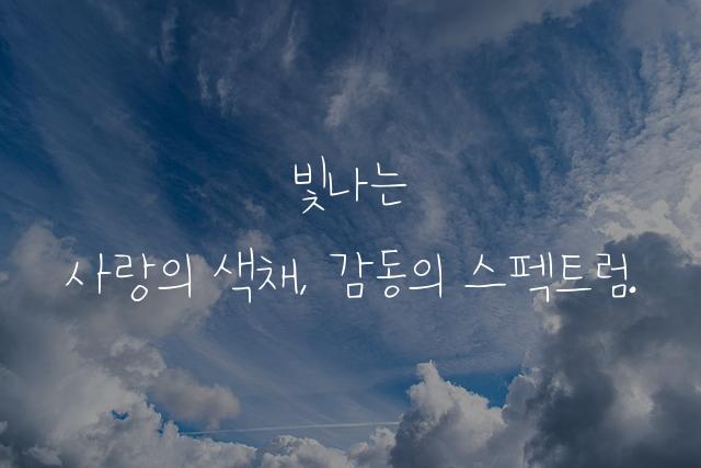 다채사랑