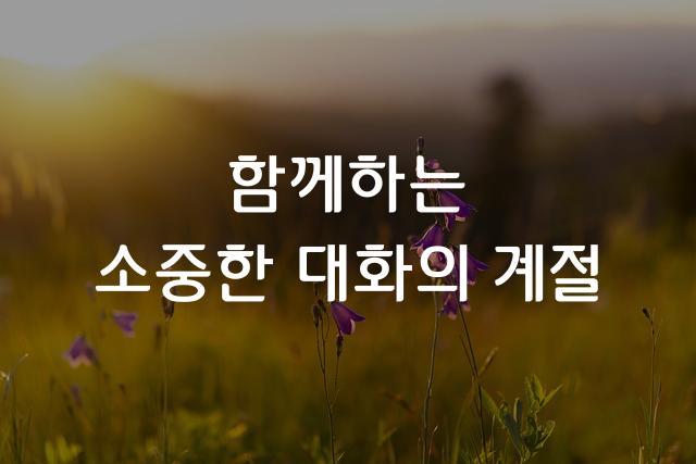 대화나눔 본문체