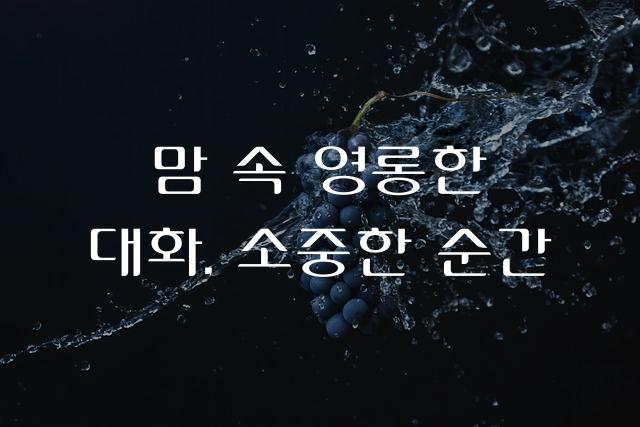대화나눔체