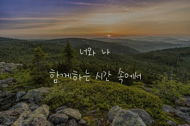 다진체