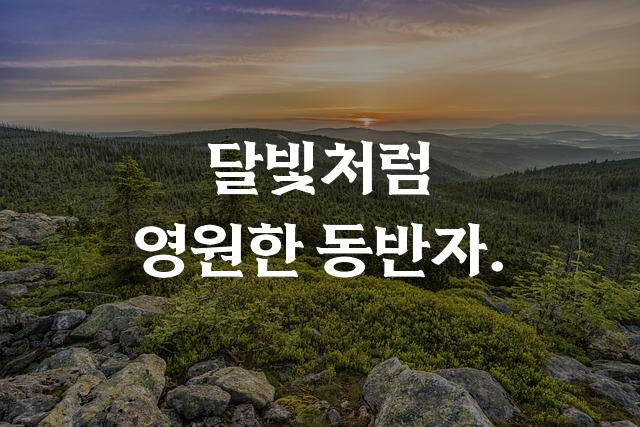 단조